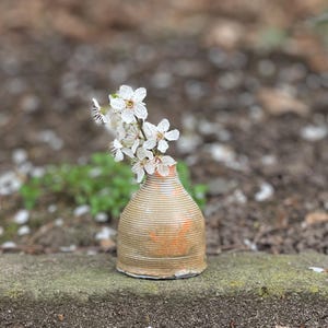 May include: A small, brown ceramic vase with a textured surface holds a bouquet of white blossoms. The vase is sitting on a stone step with white flower petals scattered around it.
