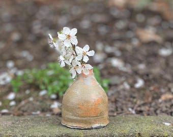 3D Printable Mini Vase STL File | Modern Minimalist Home Decor | Digital Download | DIY Flower Vase for 3D Printing