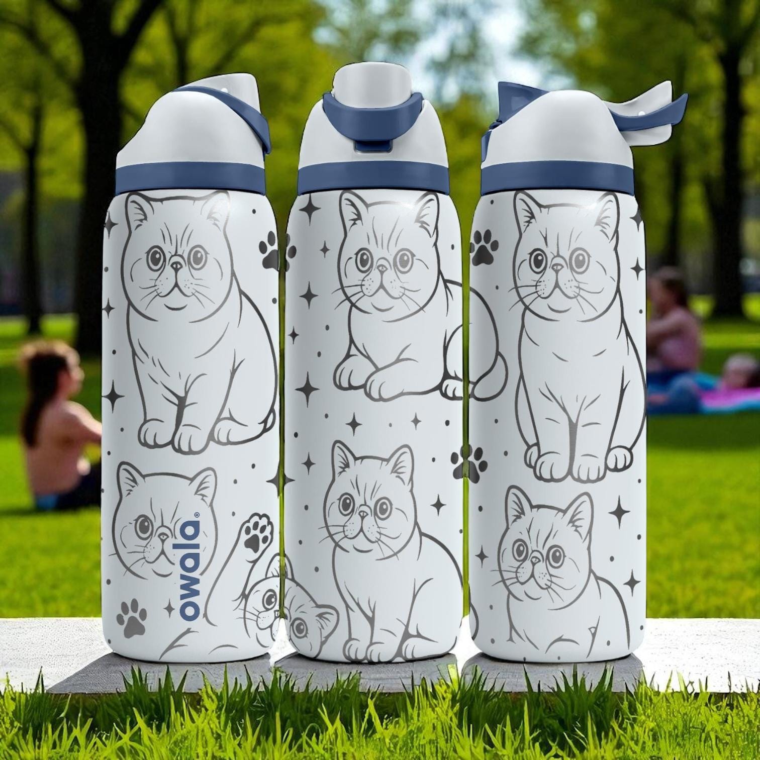 Engraved Exotic Shorthair Cat Owala Bottle – 16oz 24oz 32oz 40oz
