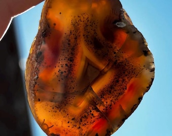 Montana Agate Polished Slab
