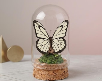 Butterfree Dome Cloche |PKM Cottagecore Room Decor | Faux Insect Taxidermy Specimen | Nature Lover Gift | Oddities and Curios Terrarium