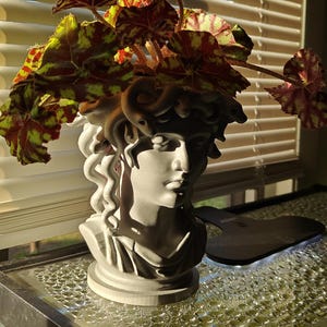 3D Printed Medusa Head Planter: Greek Mythology Decor, Eco-Friendly PLA