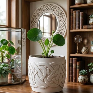 Puede incluir: Una taza de cerámica blanca con un asa negra y el texto "But First, Coffee" en negrita negra. La taza está sobre un fondo borroso, sugiriendo un ambiente acogedor. La taza mide aproximadamente 10 cm de altura.