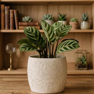 Maceta floral en relieve / Maceta única con diseño de peonía en 3D