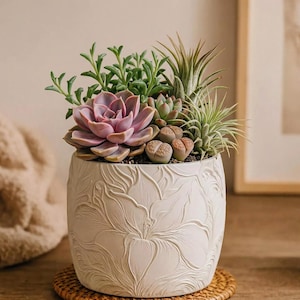 Könnte beinhalten: Ein weißer Keramiktopf mit geprägtem Blumendesign, gefüllt mit einer Vielzahl von Sukkulenten. Die Anordnung umfasst eine große, rosa Sukkulente, grüne Blätterpflanzen und Luftpflanzen. Der Topf steht auf einer gewebten Matte.