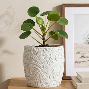 May include: A potted plant with round, green leaves sits in a white, textured ceramic pot. The pot features a detailed relief design of flowers and vines. The plant is placed on a wooden surface, with a framed picture in the background.