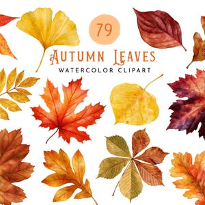 May include: A collection of 79 watercolour autumn leaves in various shapes and colours including red, orange, yellow, and brown. The text "79 AUTUMN LEAVES WATERCOLOR CLIPART" is centred at the top. The leaves are displayed individually against a white background.