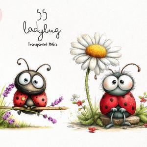 55 lieveheersbeestje png-afbeeldingen | Leuke bundel aquarellieveheersbeestjes | Insectenillustratieset lentetuin voor knutselen (digitale download) afbeelding 13