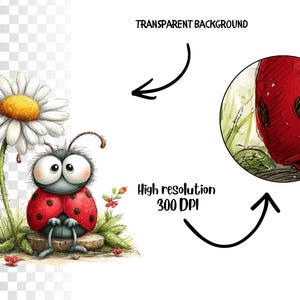 55 lieveheersbeestje png-afbeeldingen | Leuke bundel aquarellieveheersbeestjes | Insectenillustratieset lentetuin voor knutselen (digitale download) afbeelding 7