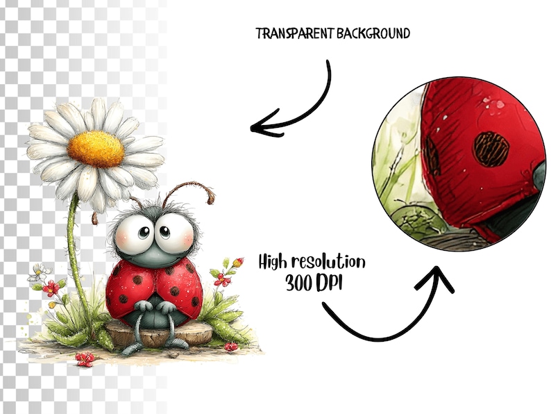 55 lieveheersbeestje png-afbeeldingen | Leuke bundel aquarellieveheersbeestjes | Insectenillustratieset lentetuin voor knutselen (digitale download) afbeelding 7