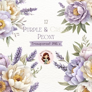 Violette Pfingstrose Clipart / Aquarell Pfingstrose Clipart / Violette Aquarell Blumen Clipart / Hellviolette florale Kompositionen Clipart / Kommerziell