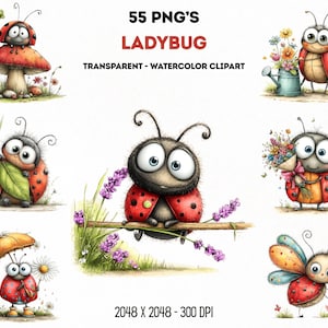55 lieveheersbeestje png-afbeeldingen | Leuke bundel aquarellieveheersbeestjes | Insectenillustratieset lentetuin voor knutselen (digitale download) afbeelding 12