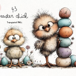 May include: A watercolour illustration featuring two fluffy Easter chicks. One chick stands beside a stack of colourful eggs, the other near flowers and eggs. The image includes the text "43 easter chick Transparent PNG's".