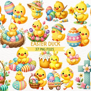 May include: A set of 37 Easter duck illustrations in PNG format. The ducks are depicted in various poses, holding Easter eggs, baskets, and other Easter-themed items. The illustrations are colorful and cheerful, perfect for adding a touch of spring to your projects.