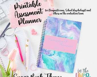 2025-2026 Printable Assessment Planner | Sugar Rush Theme | PERSONAL USE (Diagnostician, School Psychologist, Evaluation Team)