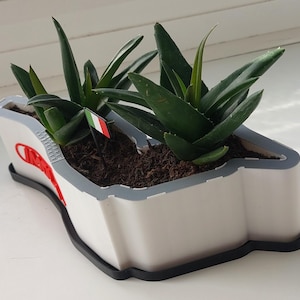 Könnte beinhalten: Ein weißer Pflanzkasten in Form einer Rennstrecke mit schwarzem Rand. Der Pflanzkasten ist mit Erde gefüllt und hat eine kleine italienische Flagge, die aus der Erde ragt. Mehrere grüne Sukkulenten wachsen im Pflanzkasten.