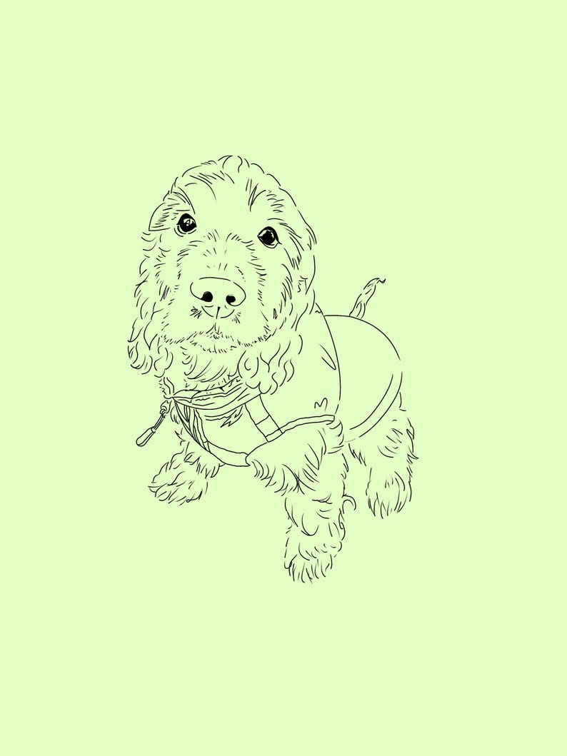 May include: Line drawing of a brown and white dog with curly fur wearing a black and white patterned vest. The dog is looking directly at the viewer.
