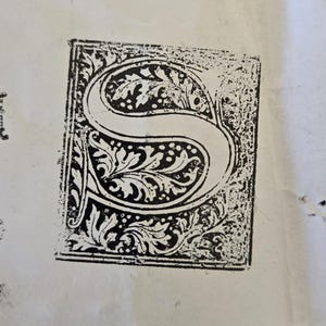 May include: A black and white image of a decorative letter 'S' with a floral design. The letter is surrounded by a square frame.