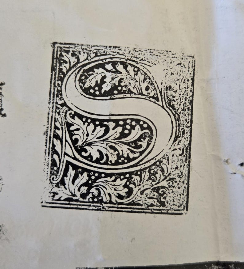 May include: A black and white image of a decorative letter 'S' with a floral design. The letter is surrounded by a square frame.