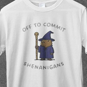 Può includere: T-shirt bianca con la scritta "OFF TO COMMIT SHENANIGANS". La maglietta presenta un capibara dei cartoni animati vestito da mago, con un bastone e che indossa una veste e un cappello blu. La maglietta è appesa a una gruccia di legno.