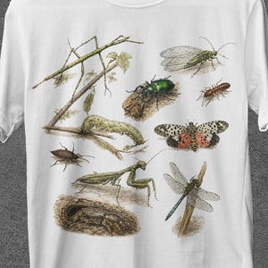 Op de afbeelding: Wit T-shirt met een gedetailleerde insectenillustratie, waaronder een wandelende tak, een libelle en een vlinder. Het shirt heeft bovenaan de tekst "JoJoTeez" en promotietekst onderaan en rechts.