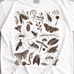 Może przedstawiać: Biały t-shirt z krótkim rękawem z naniesioną brązową ilustracją w stylu tuszu, przedstawiającą różne owady i elementy botaniczne rozmieszczone na przodzie. Wzór zawiera ćmy, chrząszcze, ważki oraz gałązki roślin w naturalistycznym stylu.