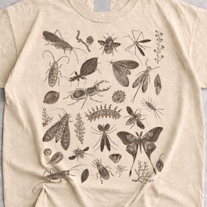 Könnte beinhalten: Ein sandfarbenes T-Shirt mit einem detaillierten dunkelbraunen Grafikdruck verschiedener Insekten, Motten und botanischer Elemente auf der Vorderseite. Das Design zeigt zahlreiche Arten von Käfern, geflügelten Insekten und kleinen Zweigen.