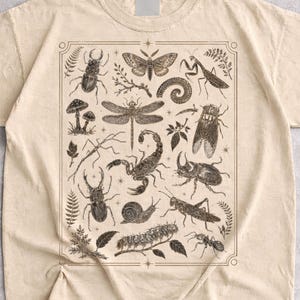 Koszulka vintage z motywem owadów Y2K Centipede Cottagecore w stylu, koszulka retro prezent dla niego, zabawny prezent dla miłośnika owadów, koszulka z motywem natury, koszulka grunge, koszulka entomologiczna