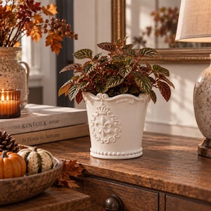 May include: A white ceramic planter featuring a raised fleur-de-lis emblem and a crown motif on the front, with a beaded rim and base. The planter holds a small plant with dark green and reddish-brown textured leaves, centred on a wooden surface.