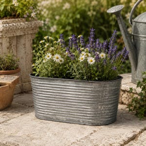 May include: A galvanised metal planter filled with lavender and daisies. The oval container has horizontal ridges and sits on a stone surface. A metal watering can is in the background, suggesting a garden setting.