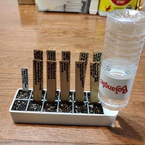 May include: A white plastic seed starting tray with soil and wooden plant markers. A clear plastic water bottle rests against the tray. The markers have handwritten plant names and details. The bottle has the word "Bojangles" on it.