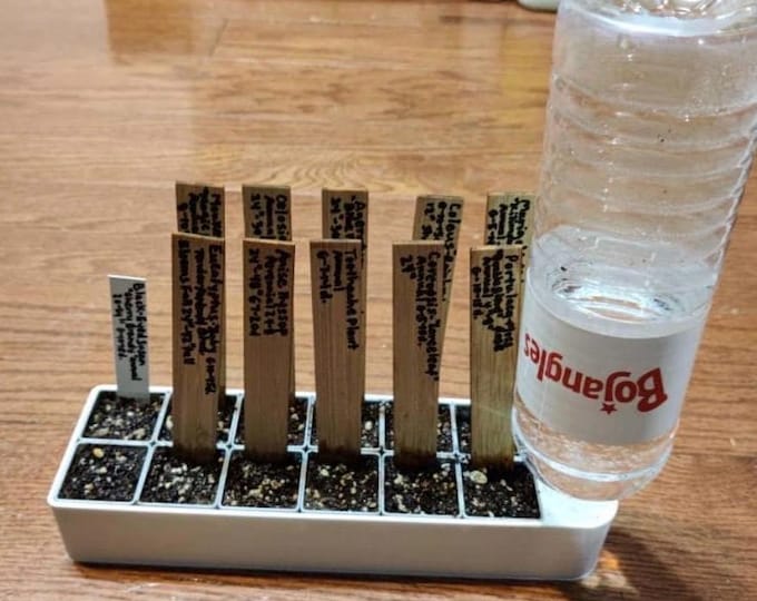 Self-Watering Seed Starter Kit – 12, 8, 4-Cell Tray, Indoor Gardening