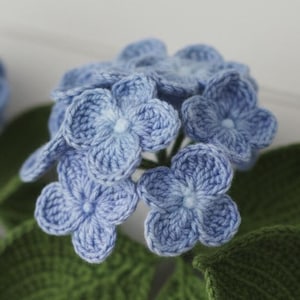 Peut inclure: Gros plan d'une guirlande crochetée avec des fleurs d'hortensia bleues et des feuilles vertes. Les fleurs ont un aspect délicat et texturé, et les feuilles sont d'un vert riche et vibrant. La guirlande est posée sur un fond blanc.