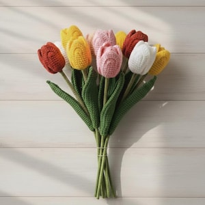 Crochet Tulip Pattern | Digital PDF Download | Beginner-Friendly Crochet | Easy Tulip Flower Bouquet |  Amigurumi Flower Pattern | English