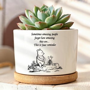 Puede incluir: Una maceta cilíndrica de cerámica blanca que contiene una suculenta verde. La maceta presenta un dibujo lineal negro de Winnie the Pooh y Piglet sentados en un tronco con el texto: Sometimes amazing people forget how amazing they are... This is your reminder.