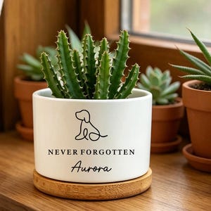 Personalized Dog Memorial Planter, Custom In Loving Memory Pet Succulent Planter, Loss Of Dog Keepsake, Pet Sympathy Gift for Pet Lovers