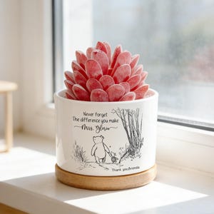 May include: A white ceramic planter with a red succulent. The planter features a Winnie the Pooh illustration and the text "Never forget the difference you make Mrs. Gloria. Thank you, Brenda."