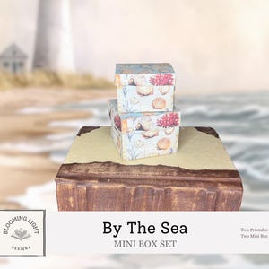 Pode incluir: Dois mini conjuntos de caixas com um design de concha, empilhados em uma base decorativa. As caixas apresentam ilustrações de conchas, corais e algas marinhas em um fundo azul claro. O texto "By The Sea" é visível.