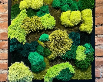 3Dモスタフテッドウォールアート：額入りふわふわグリーンタペストリー
