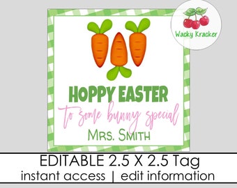Some Bunny Favor Tags Square Party Favor Tags Personalized Happy Easter Gift Tag Bunny gift Editable Gift Tag Template