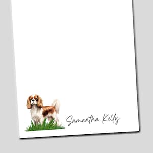 May include: White stationery with a watercolor illustration of a Cavalier King Charles Spaniel dog standing in green grass. The dog has brown and white fur. The name "Samantha Kelly" is written in cursive.