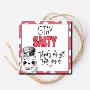 Etiqueta de agradecimento Stay Salty para impressão, Salt Pun, funcionário de escritório, voluntário, cartão de agradecimento, etiqueta para sal gourmet, sal caseiro