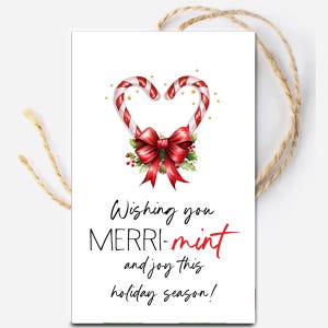 Christmas Mint Gift Tag, Printable Wishing You Merry-Mint & Joy This Holiday Favor Tag, Editable Candy Cane Tag, Peppermint Treat Template