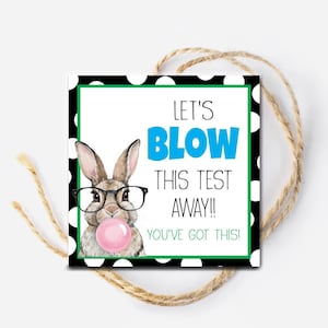 May include: A black and white polka dot background with a green border. A cartoon bunny wearing glasses blows a pink bubble with the text "Let's Blow This Test Away! You've Got This!"