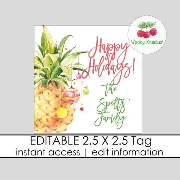 Pineapple Christmas Enclosure Card, Printable Christmas Gift Tags, Personalized Holiday Calling Cards, Christmas Stationery, Square Card