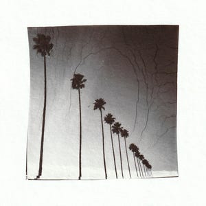 California Dreamin&#39;
