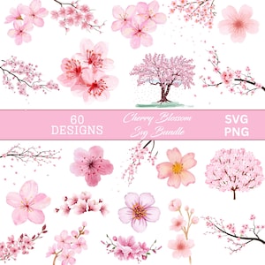 Cherry Blossom Png, Japanese Sakura, Wildflowers Png, Cherry Blossom Png, Cherry Blossom Clipart, Pink Flowers Svg, Cricut, Digital Download