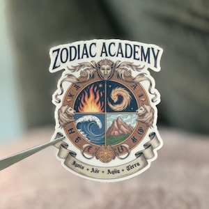 Zodiac Academy sticker-Vega Sisters leesgrage sticker, romantiek boekstickers, schattige leesgrage Kindle sticker, meedogenloze jongens sticker