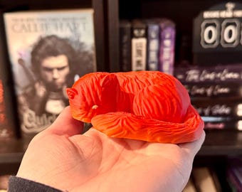 Dramione Cat Figure- Fanfic bookish Decor, Tell your cat I said pspspsps gift, Book Lover Gift, Reading Nook Decor, Crookshanks Decor