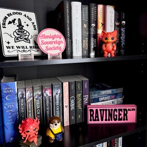 Almighty Sovereign Society- Zodiac Academy Bookshelf Decor, Book Plaque, Book Lover Gift, Reading Nook Decor, Dragon Sign image 7
